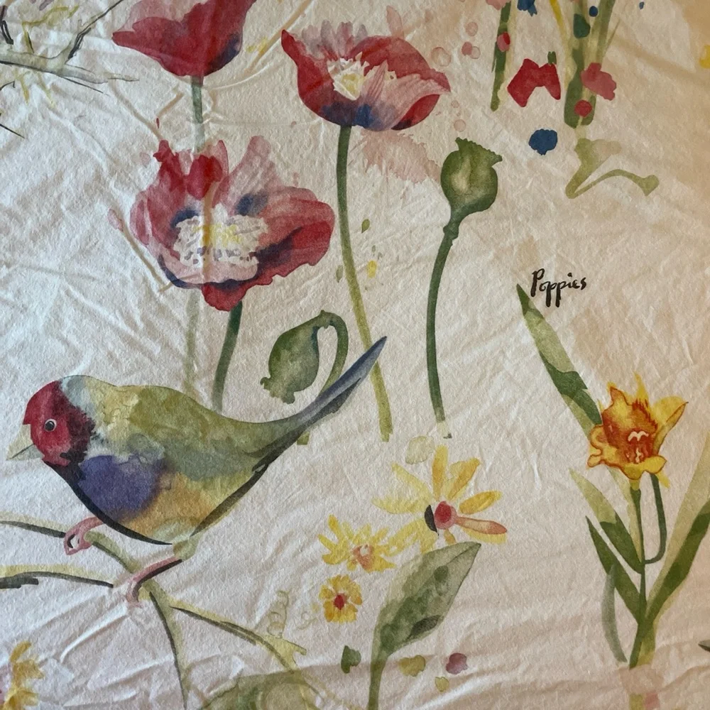 Pottery Barn Painterly Bird Duvet Cover full/queen